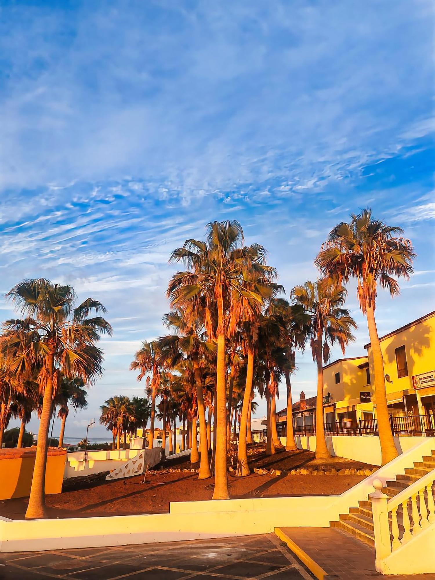Casa Palmu Apartment - A Peaceful And Relaxing Oasis In Golf Del Sur, Tenerife San Miguel de Abona Exterior foto