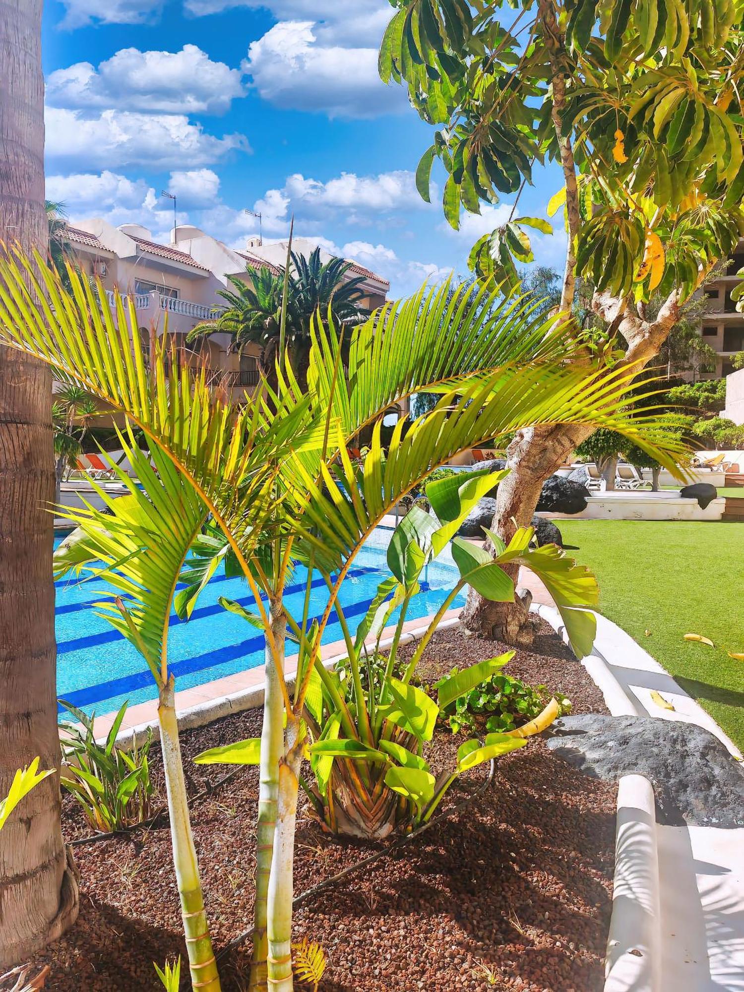 Casa Palmu Apartment - A Peaceful And Relaxing Oasis In Golf Del Sur, Tenerife San Miguel de Abona Exterior foto